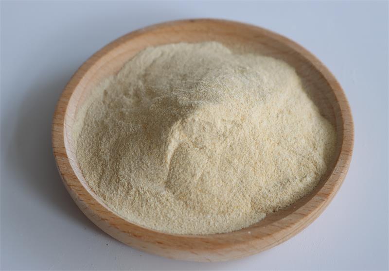 Xanthan Gum